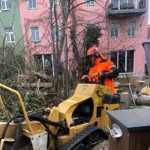 Wurzelstockfräsen
